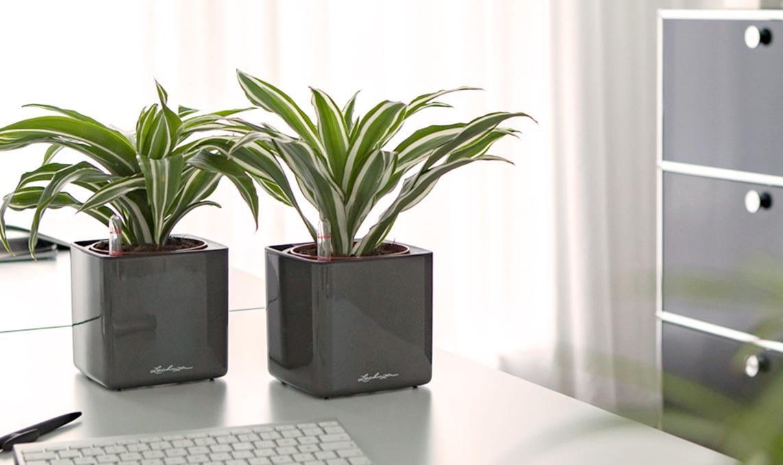 LECHUZA CUBE Glossy 14 charcoal high-gloss