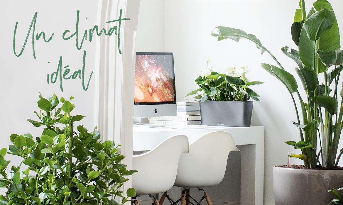 Le climat id&eacute;al pour une maison verte
