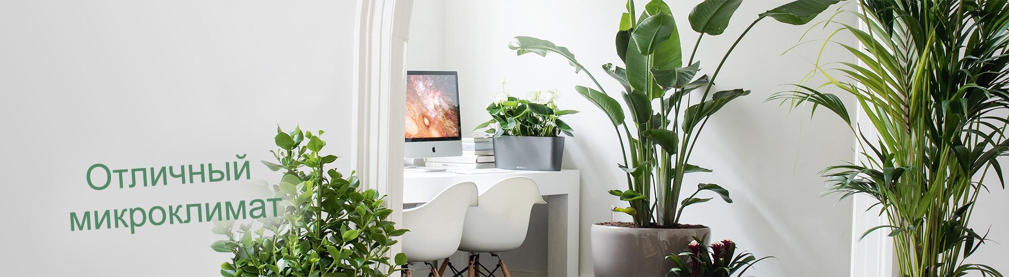 Отличный микроклимат для вашего дома