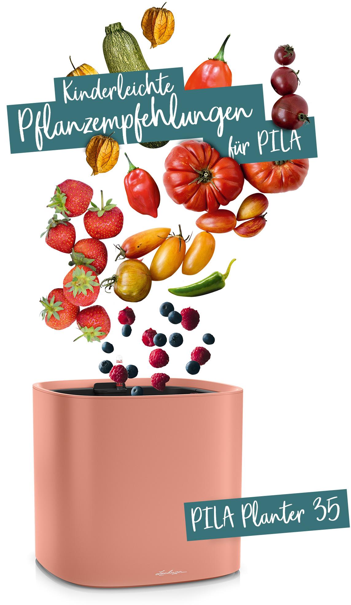 PILA Planter 35 empfohlen für Obst und Gemüse