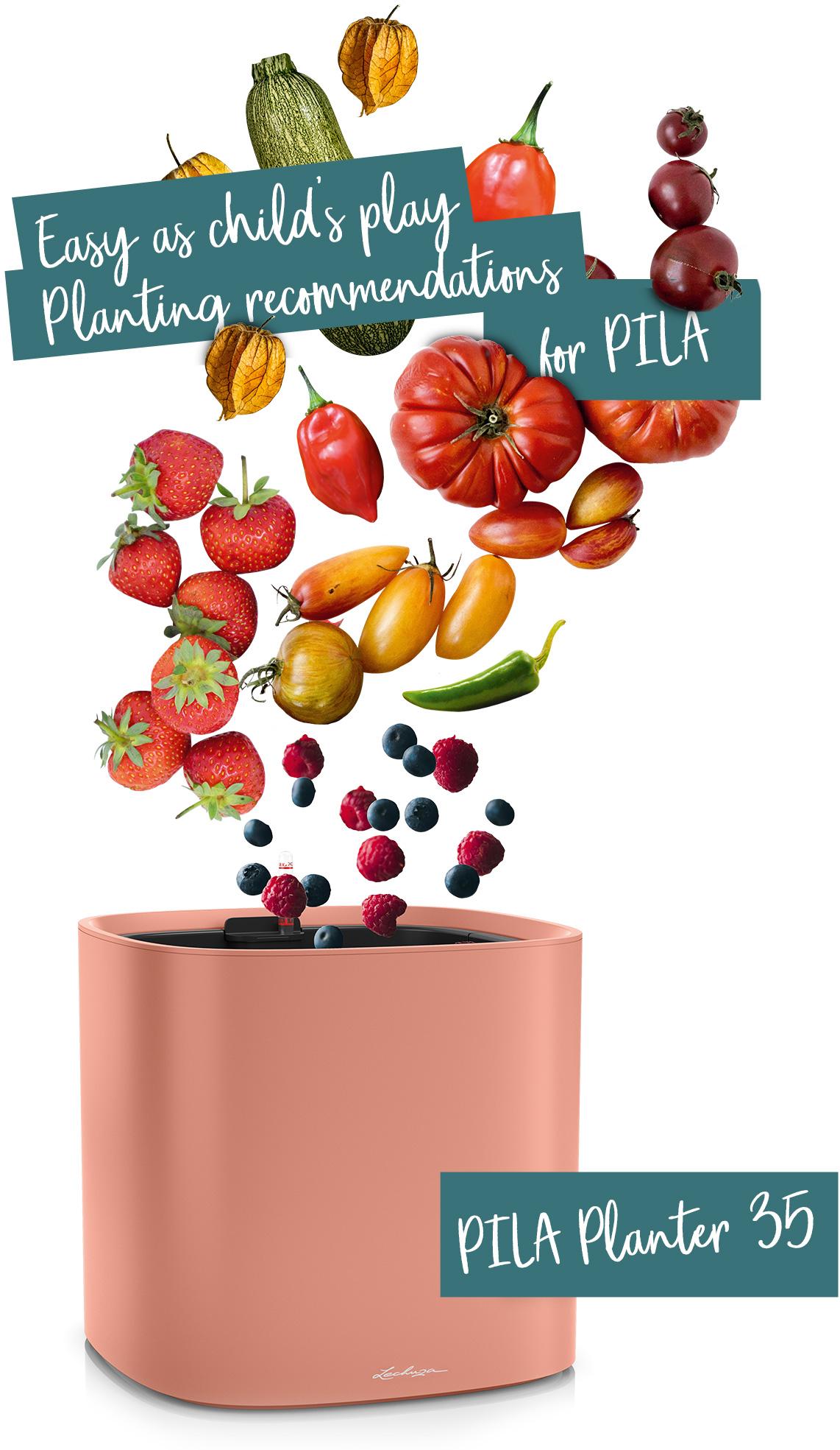 PILA Planter 35 рекомендується для овочів та фруктів