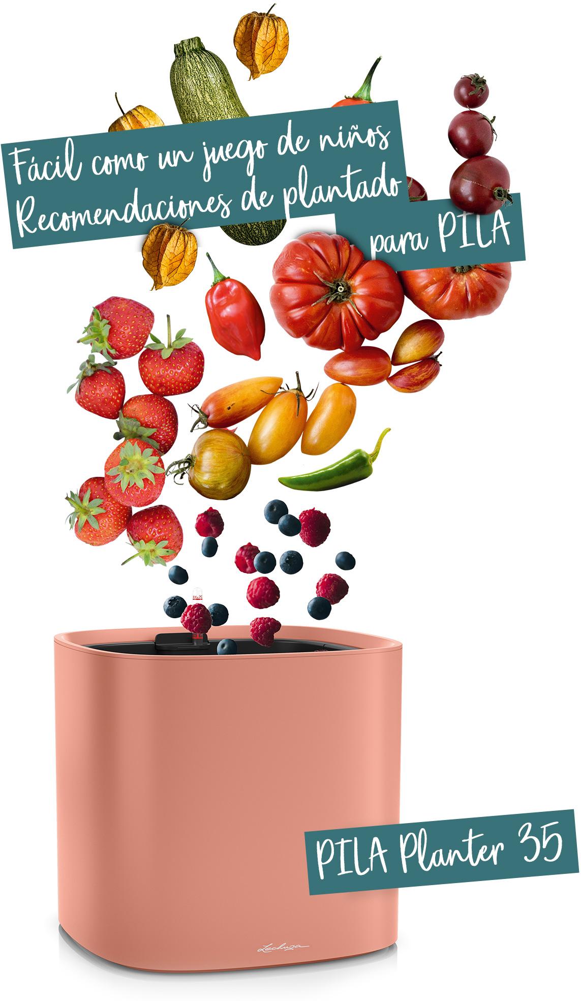 PILA Planter 35 recomendado para frutas y verduras