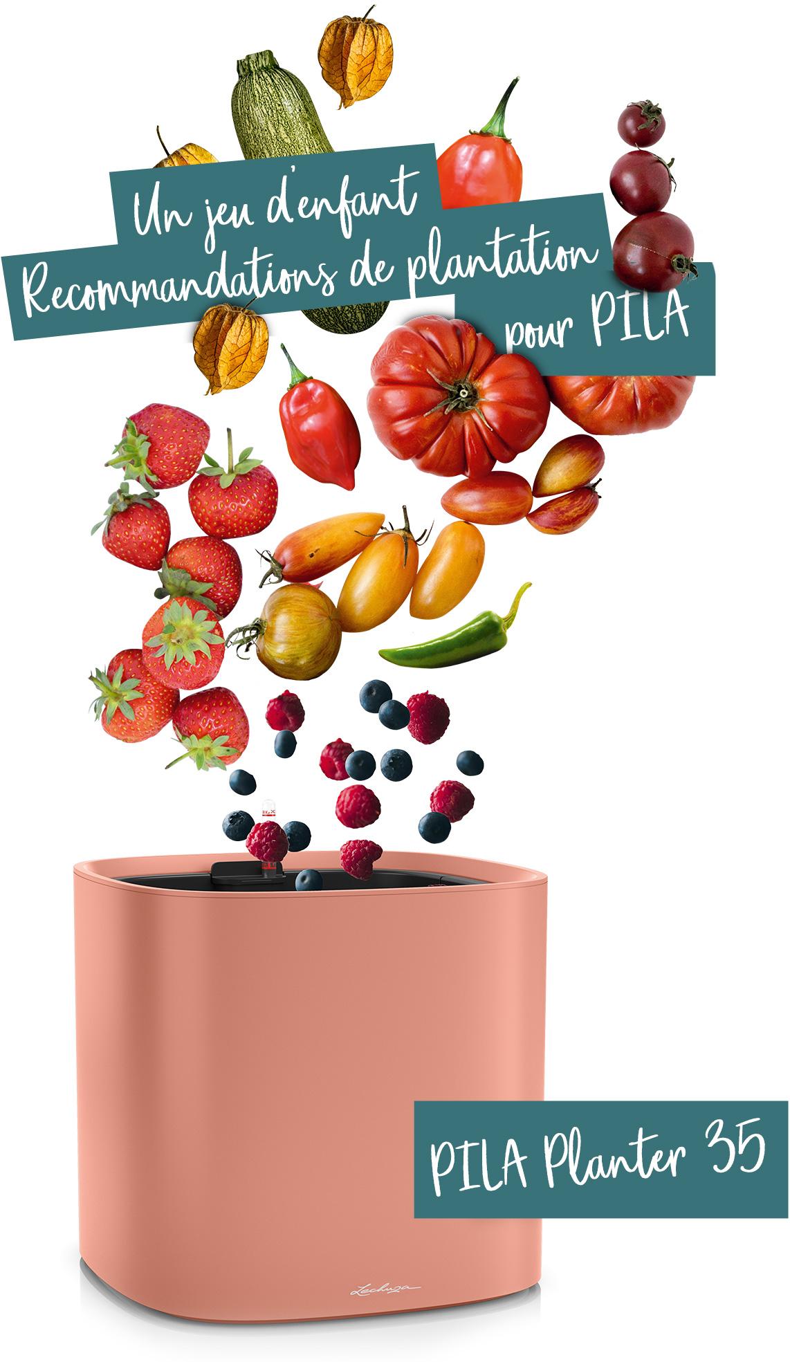 PILA Planter 35 recommandé pour les fruits et légumes