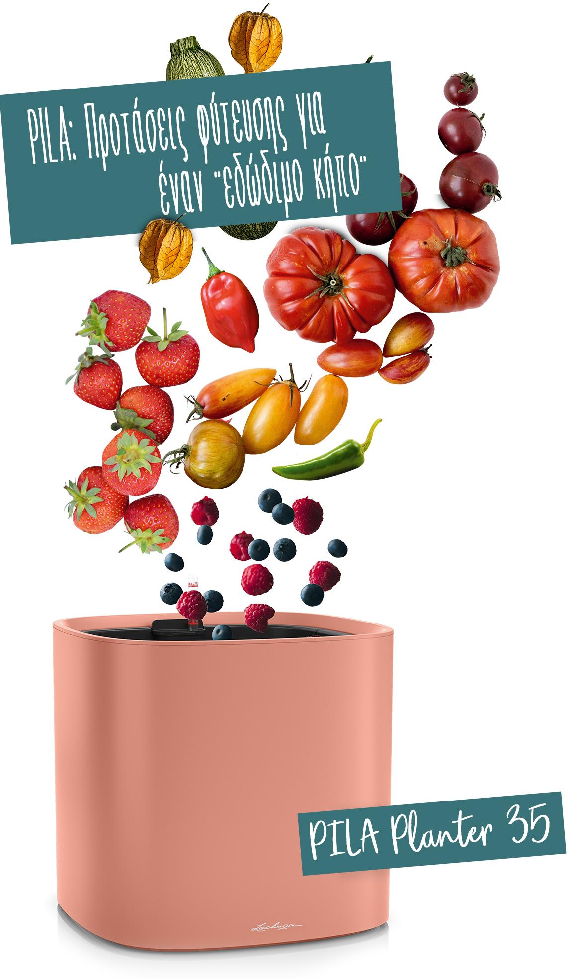 Το PILA Planter 35 συνιστάται για φρούτα και λαχανικά