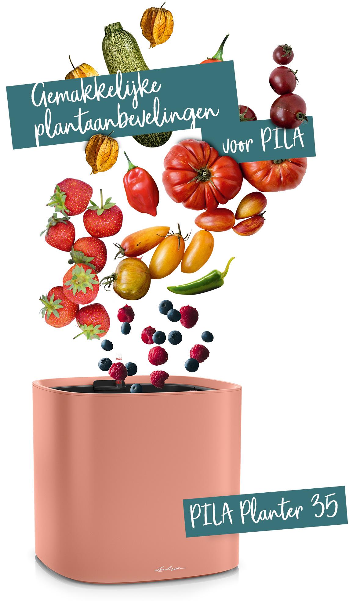 PILA Planter 35 aanbevolen voor groenten en fruit