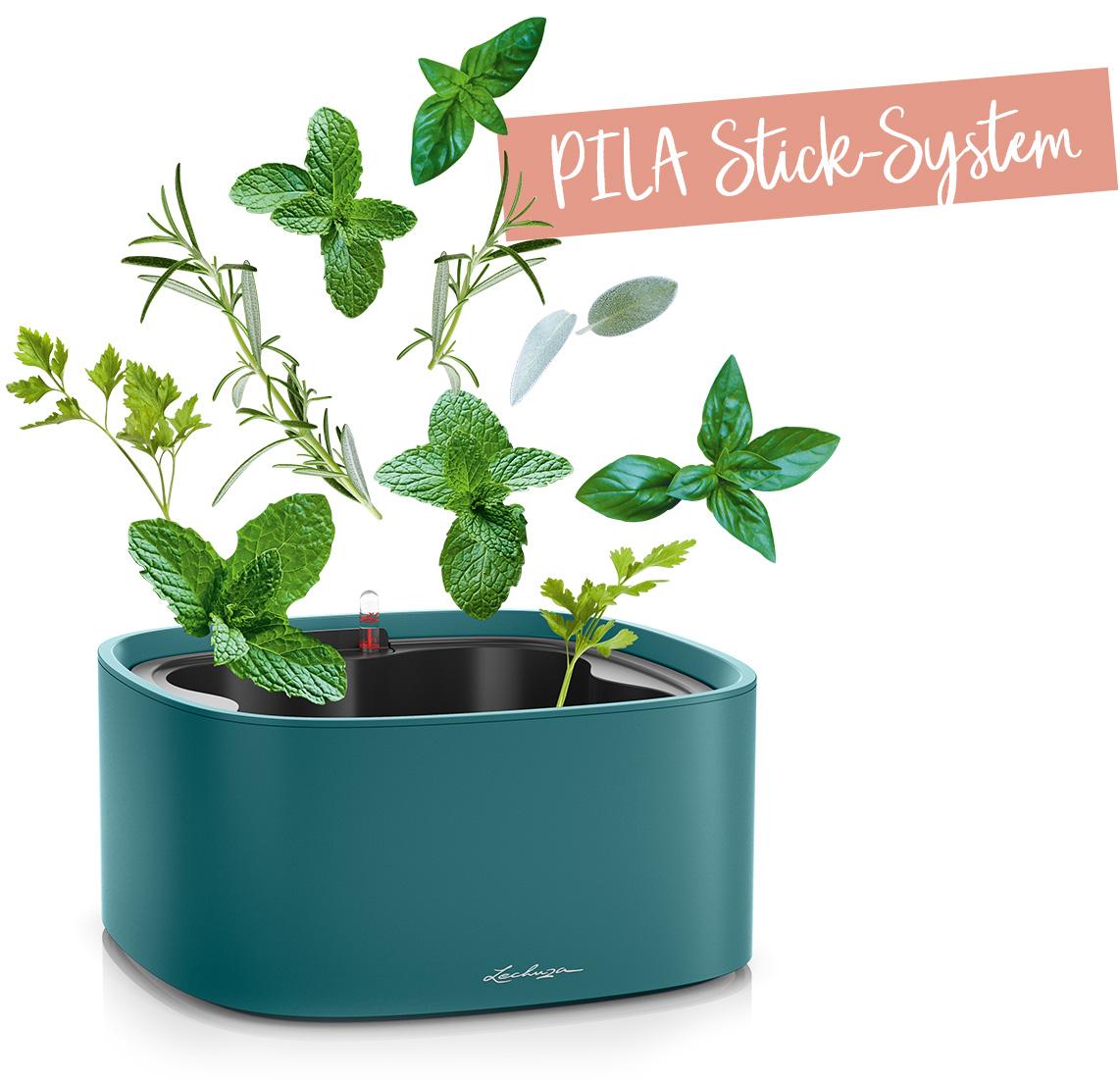 PILA stick system recommended for herbs