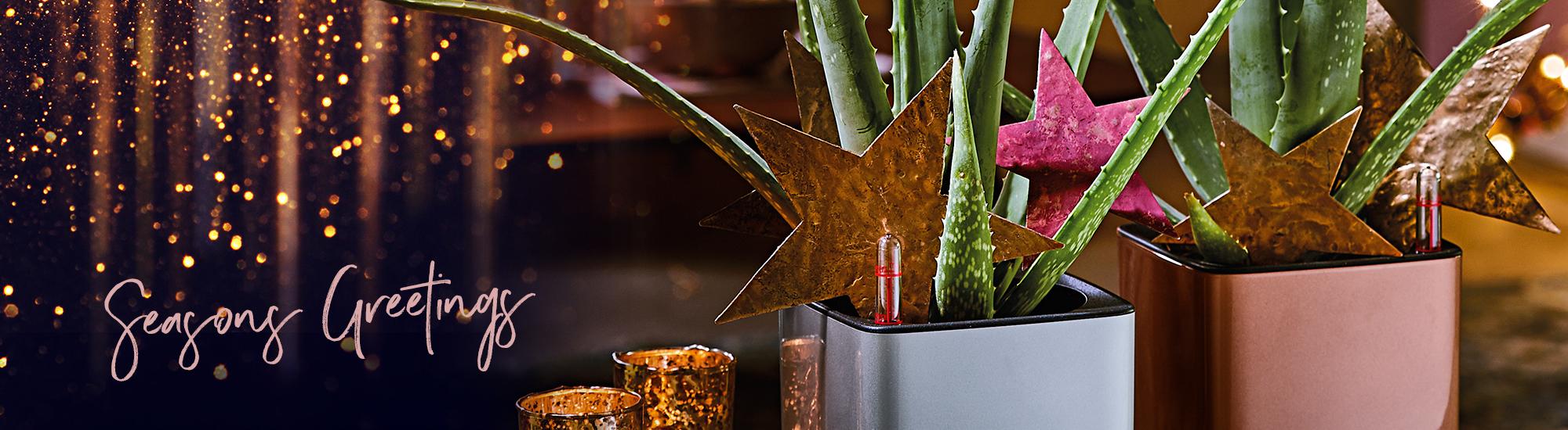 Id&eacute;es d&eacute;co pour No&euml;l