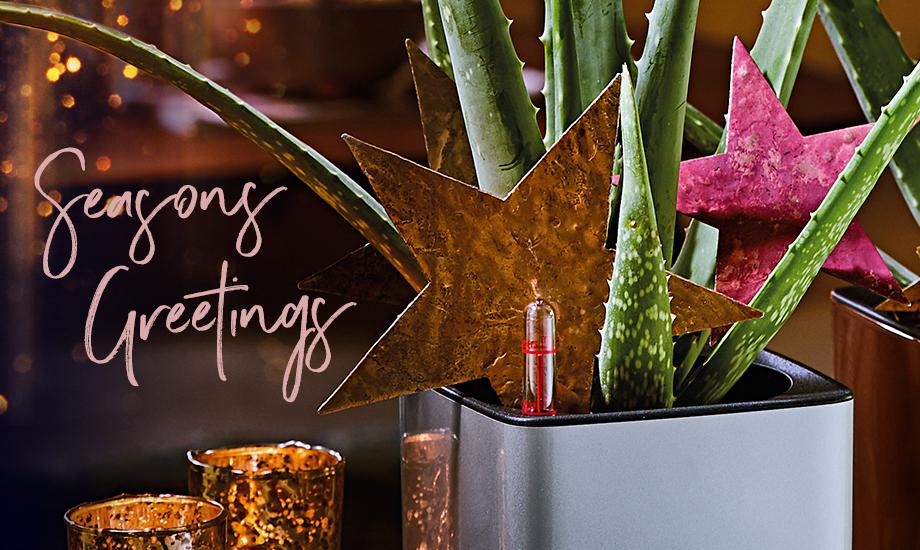 Id&eacute;es d&eacute;co pour No&euml;l