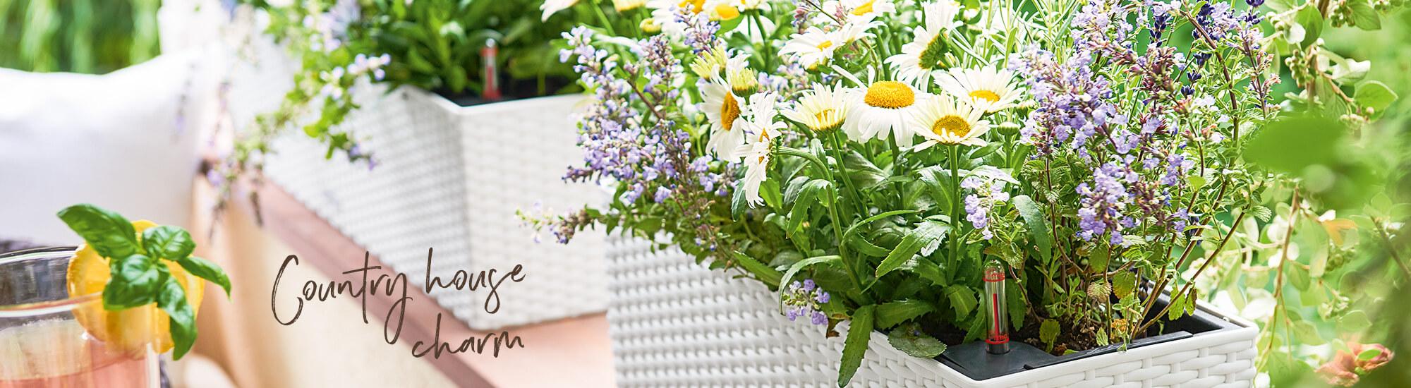 Une fin d'&eacute;t&eacute; romantique avec la collection Cottage