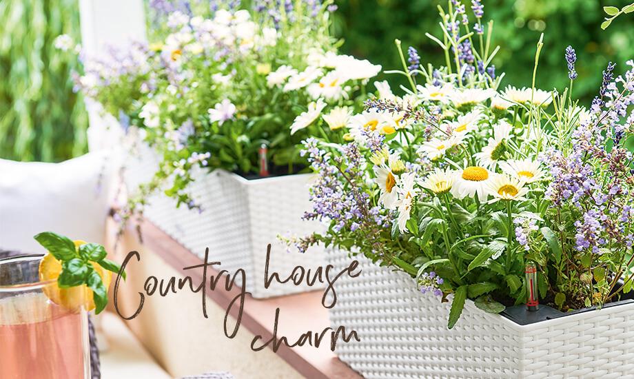 le_tw-spaetsommer_header_s_en
