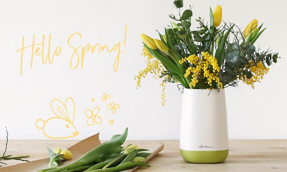 Decorative Planters For Springtime