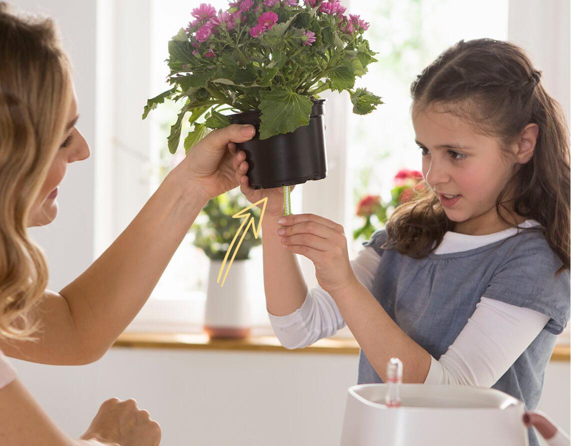 Zo eenvoudig kan de verzorging van planten zijn Stap 1