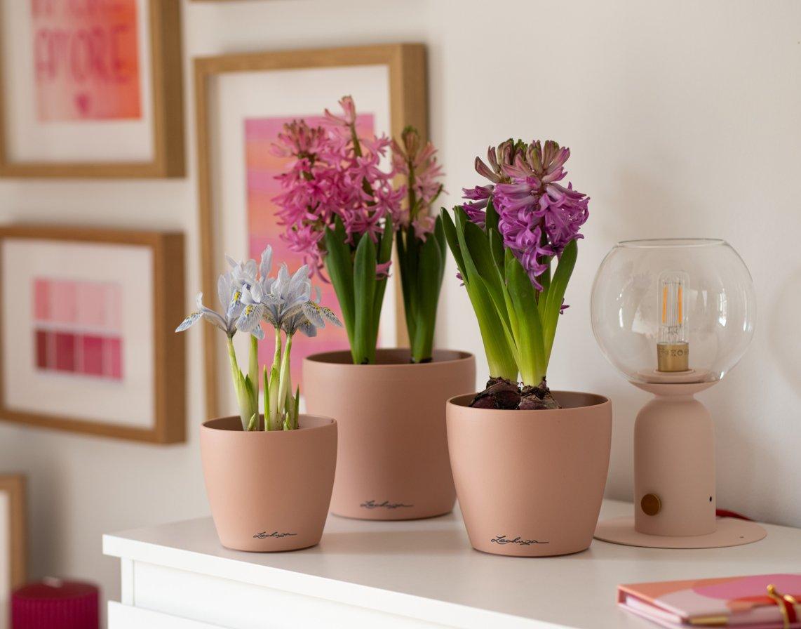 Gestecke in der YULA Flower Vase
