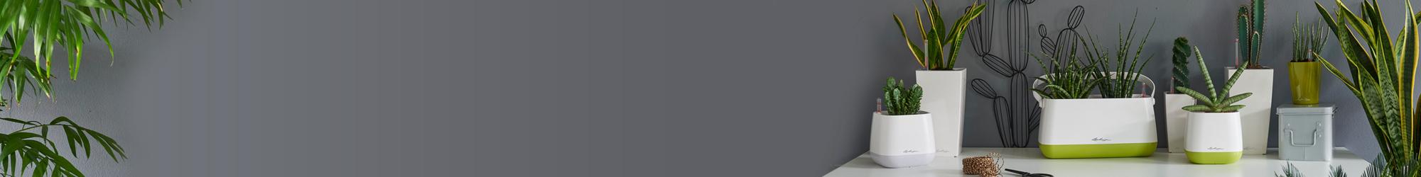 le_tw-uebersicht_banner le_tw-uebersicht_banner