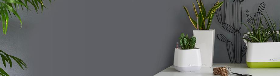 le_tw-uebersicht_banner_s le_tw-uebersicht_banner_s