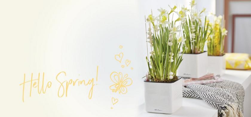 le_tw-uebersicht_spring le_tw-uebersicht_spring
