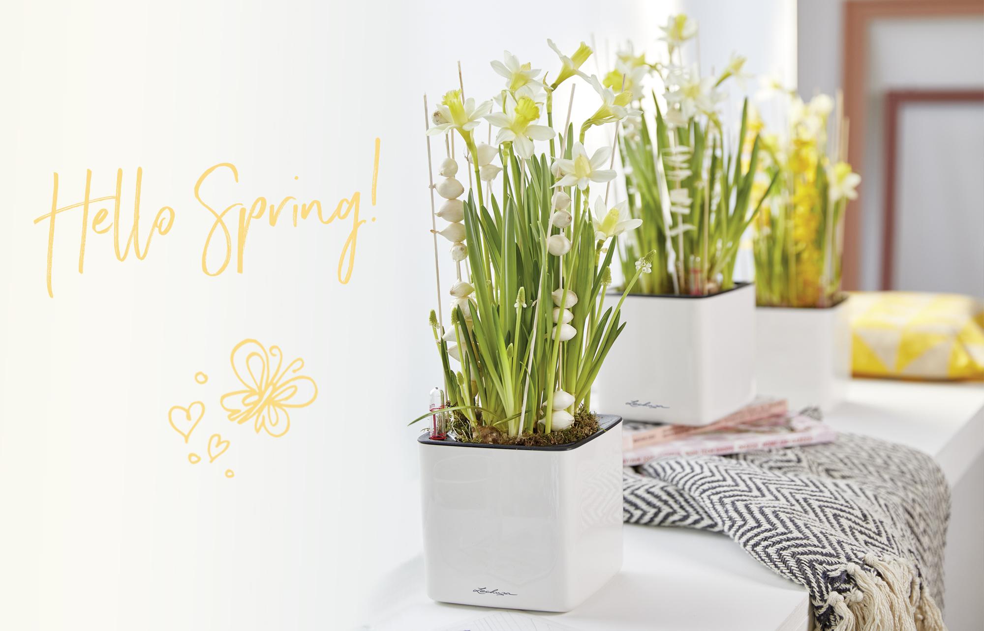 le_tw-uebersicht_spring_middle le_tw-uebersicht_spring_middle