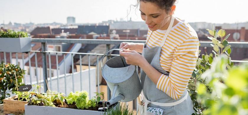 le_tw-uebersicht_urban_gardening le_tw-uebersicht_urban_gardening