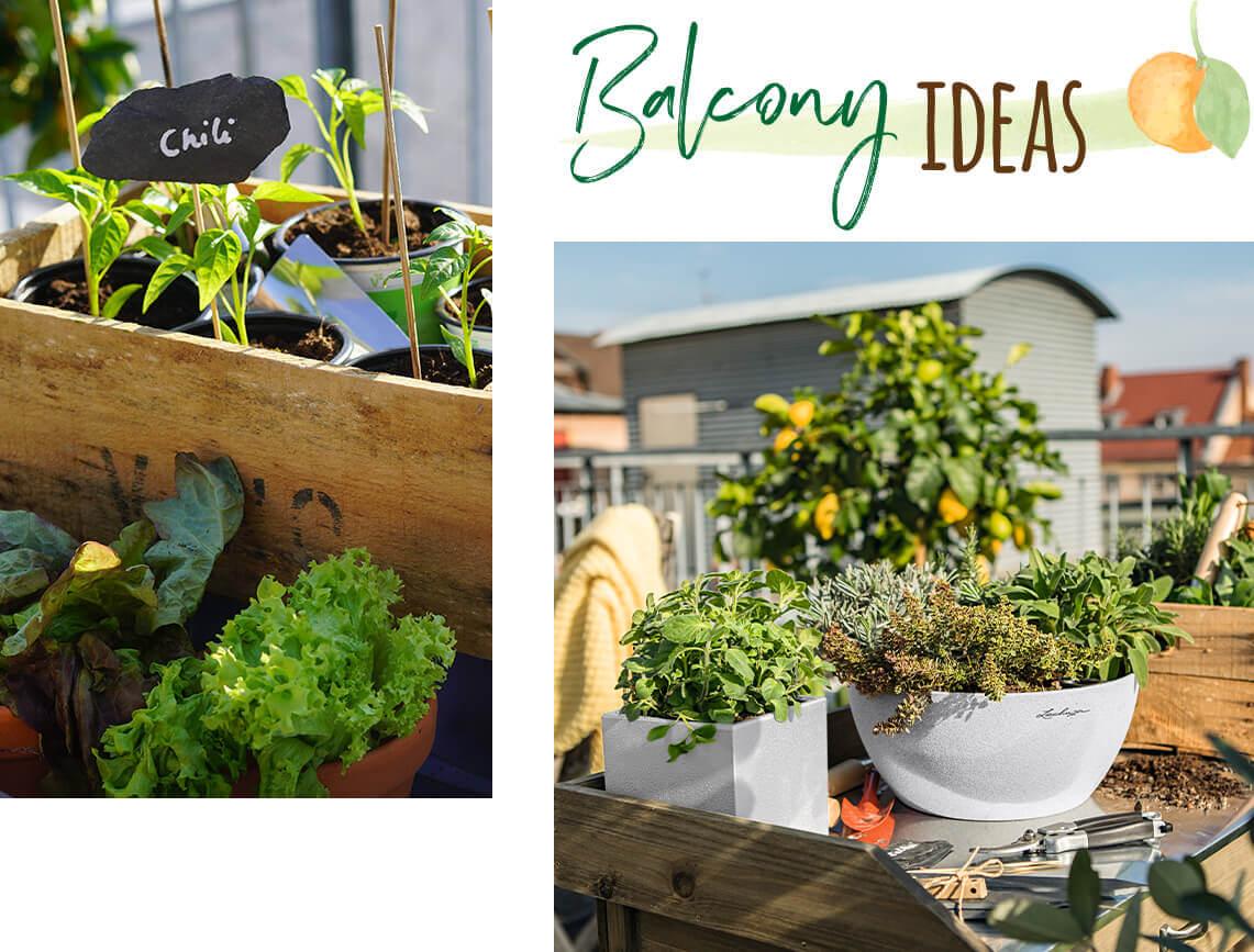 Ideas para plantas autoabastecibles en balcones