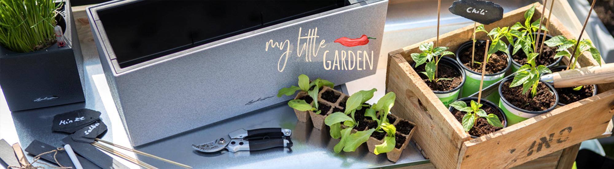 Urban Gardening - Φυτά σε μπαλκόνι & ταράτσα