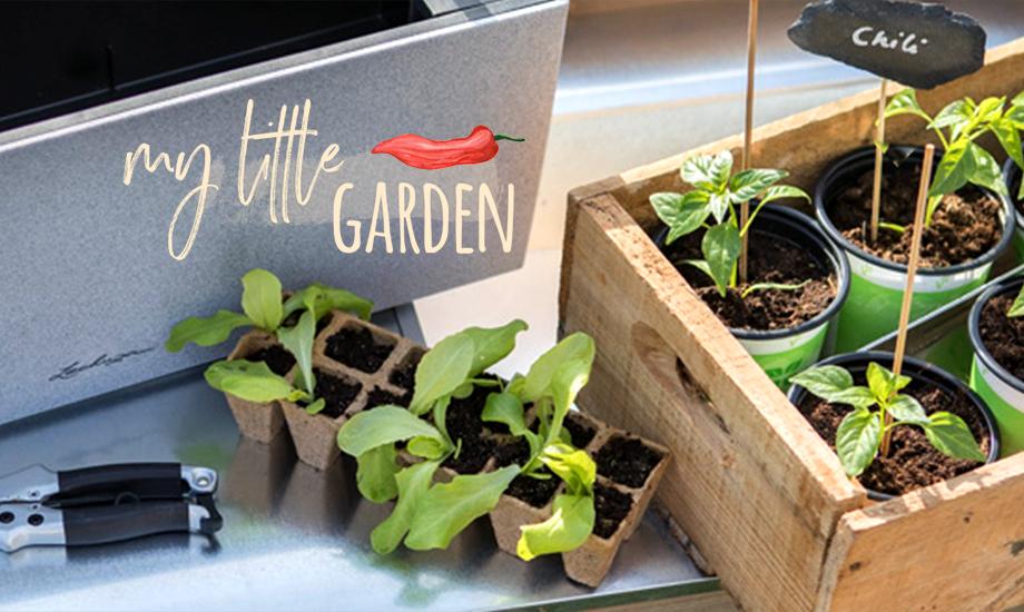 Urban Gardening Plants On The Balcony Terrace Lechuza