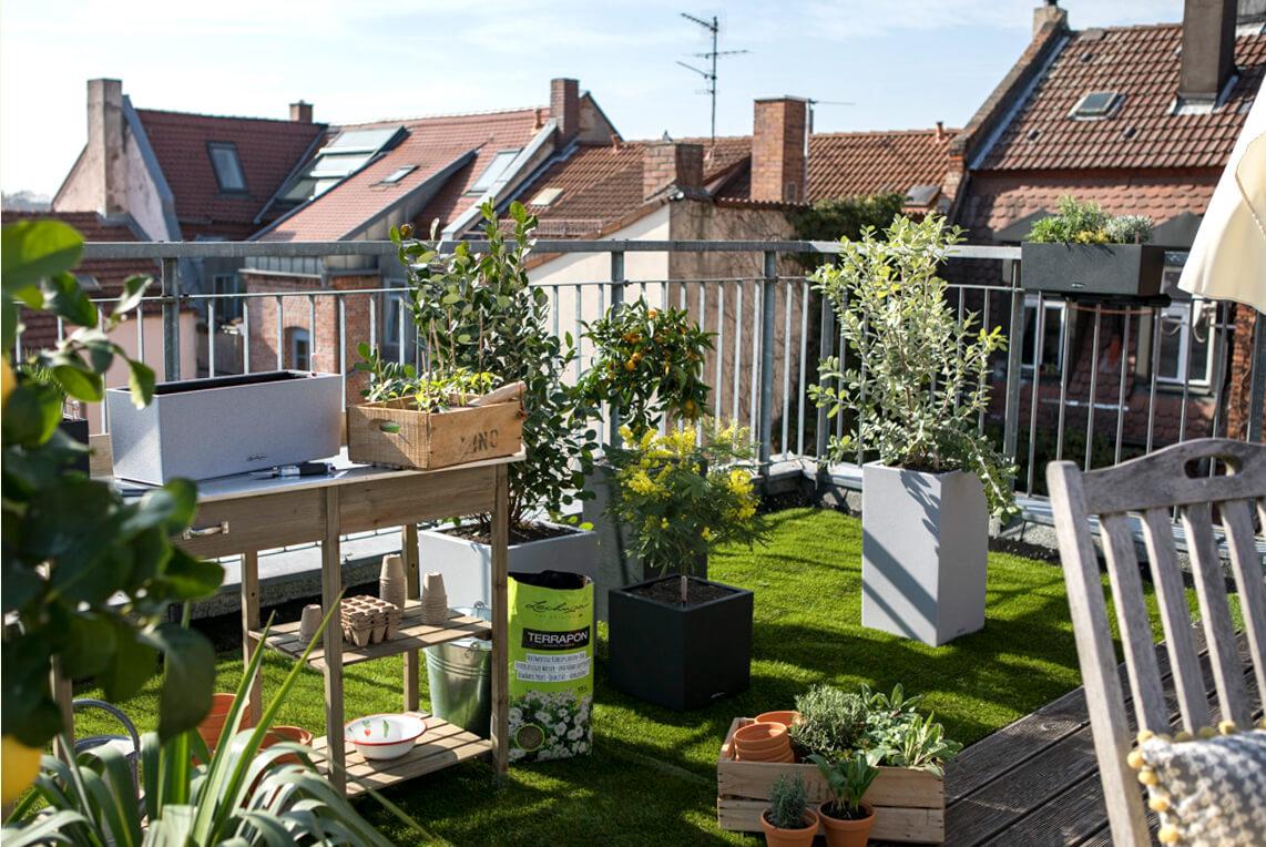 Just a few steps and your city balcony transforms into a green oasis