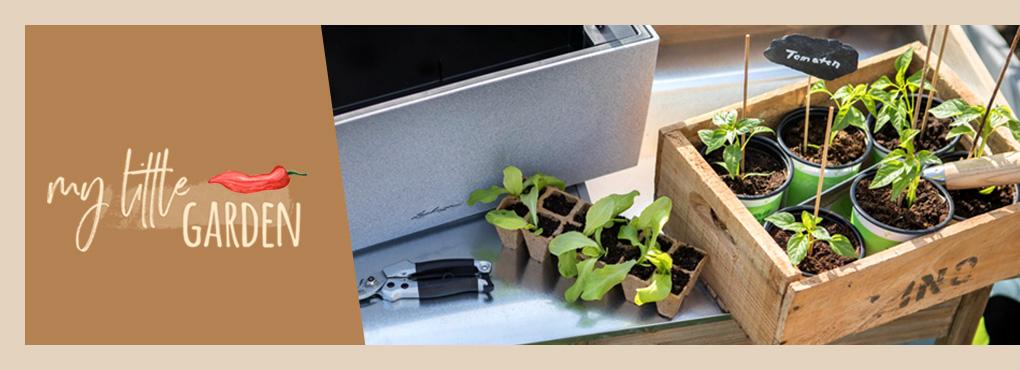 URBAN GARDENING Plants on the balcony and terrace