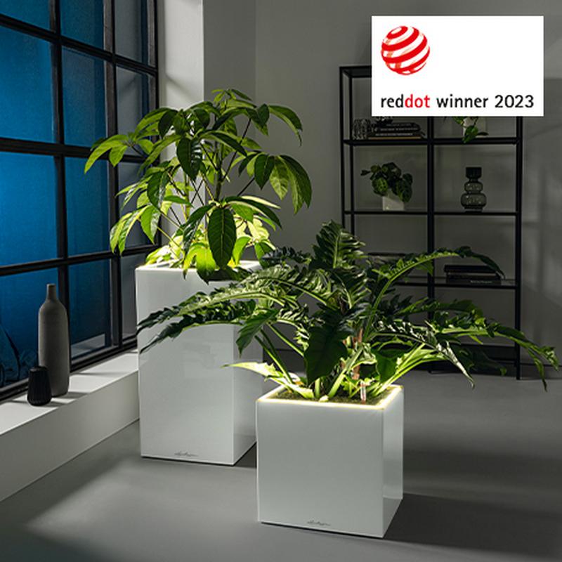 usp_preisgekroentes_design usp_preisgekroentes_design