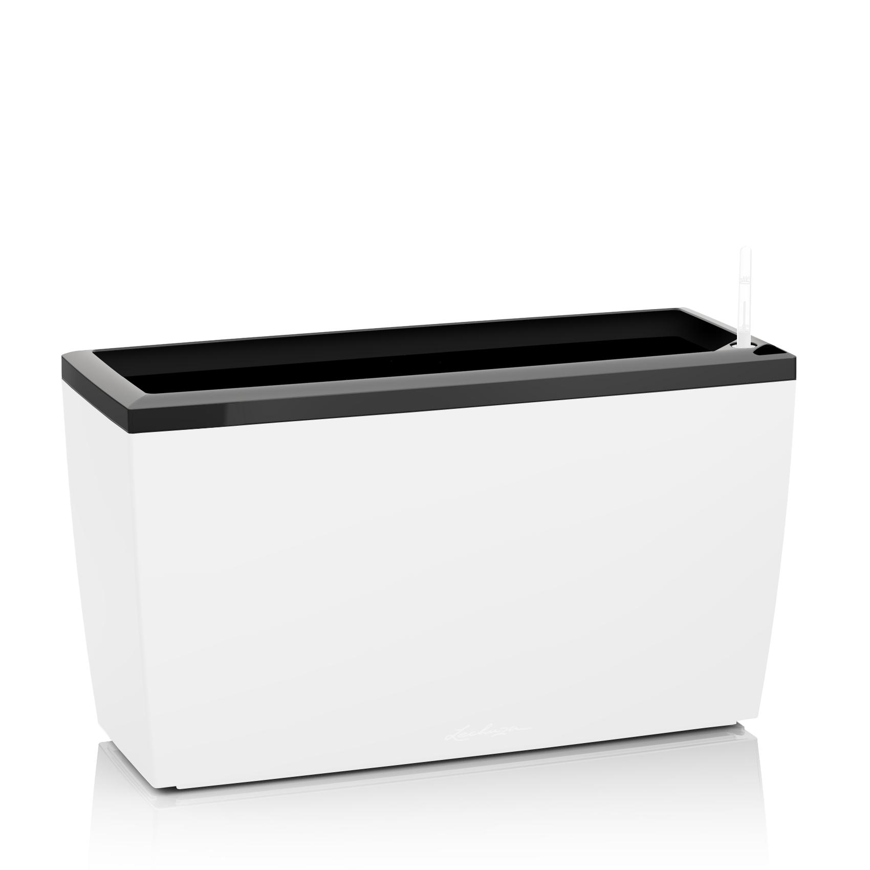 Cornice per CARARO nero lucido (contenu pour 1 pot)