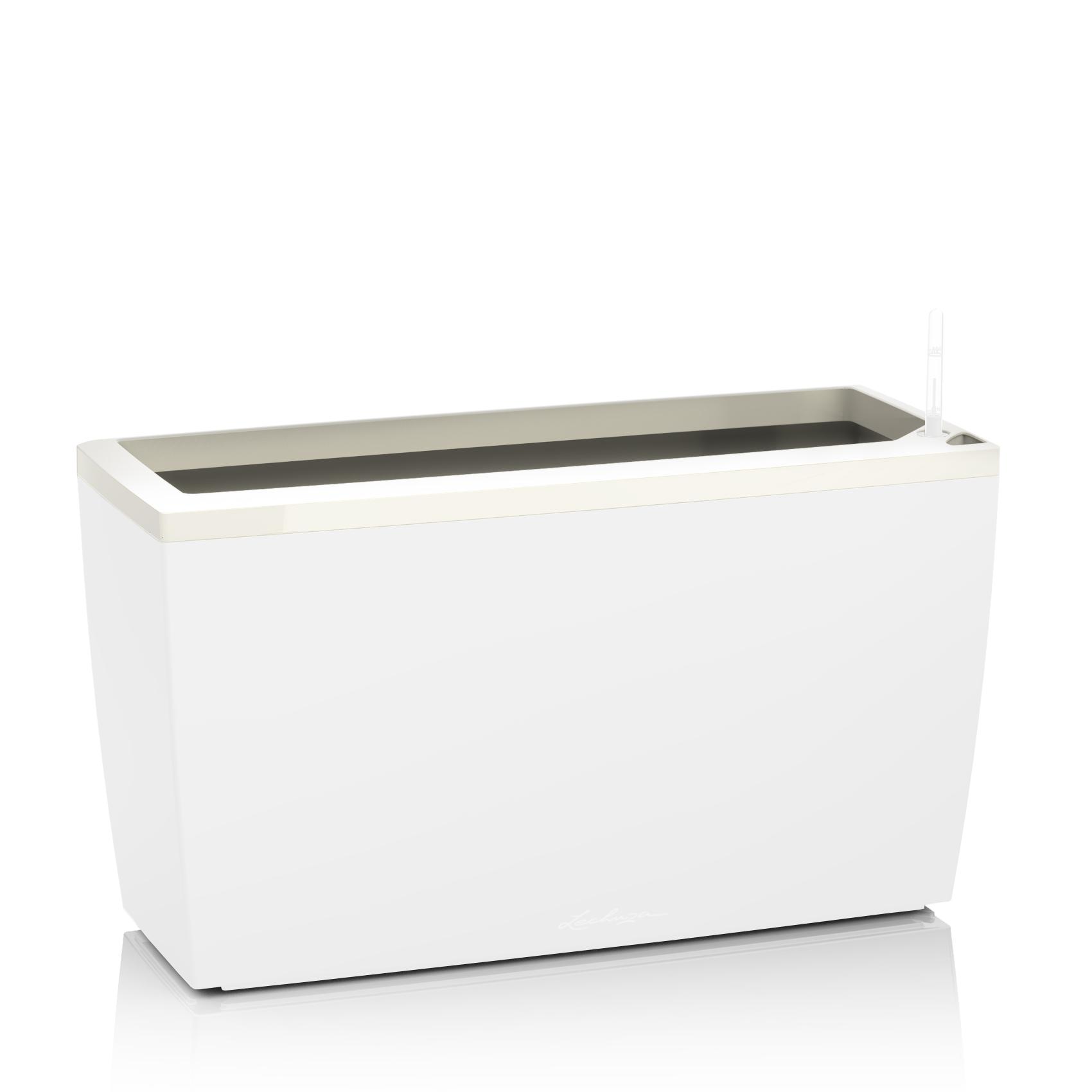 Cadre pour CARARO blanc brillant (contenu pour 1 pot)