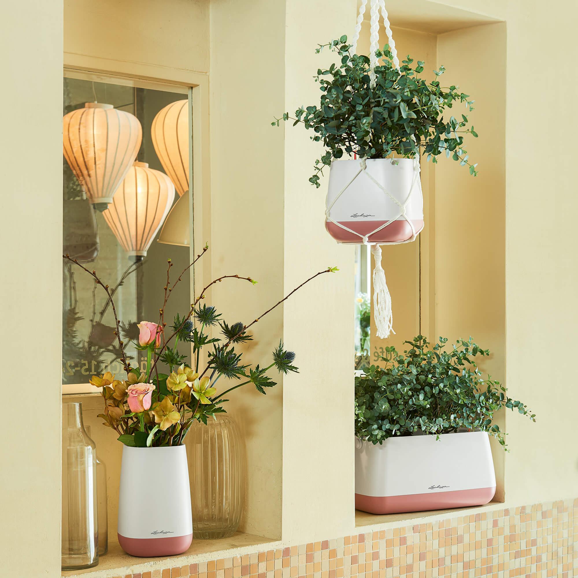 le_yula-flower_product_addi_04