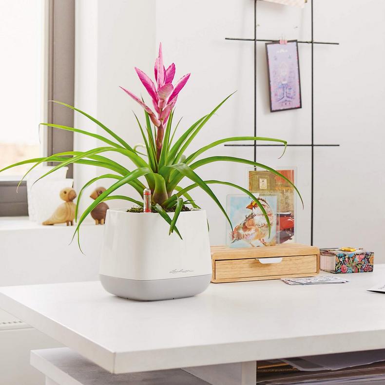 le_yula-pflanzgefaess_product_addi_01