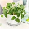YULA plantenpot wit/pistache zijdemat additional thumb 6