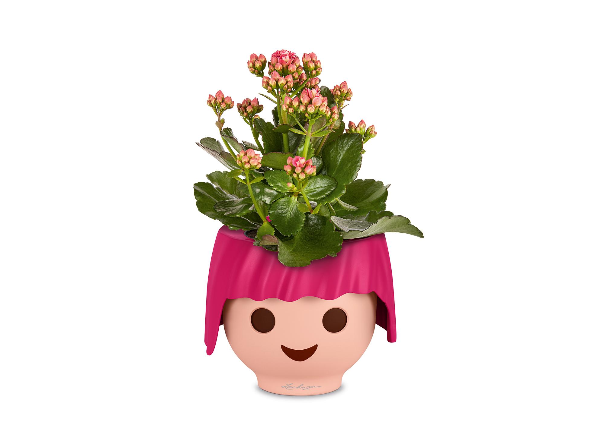 19041_product_extra1