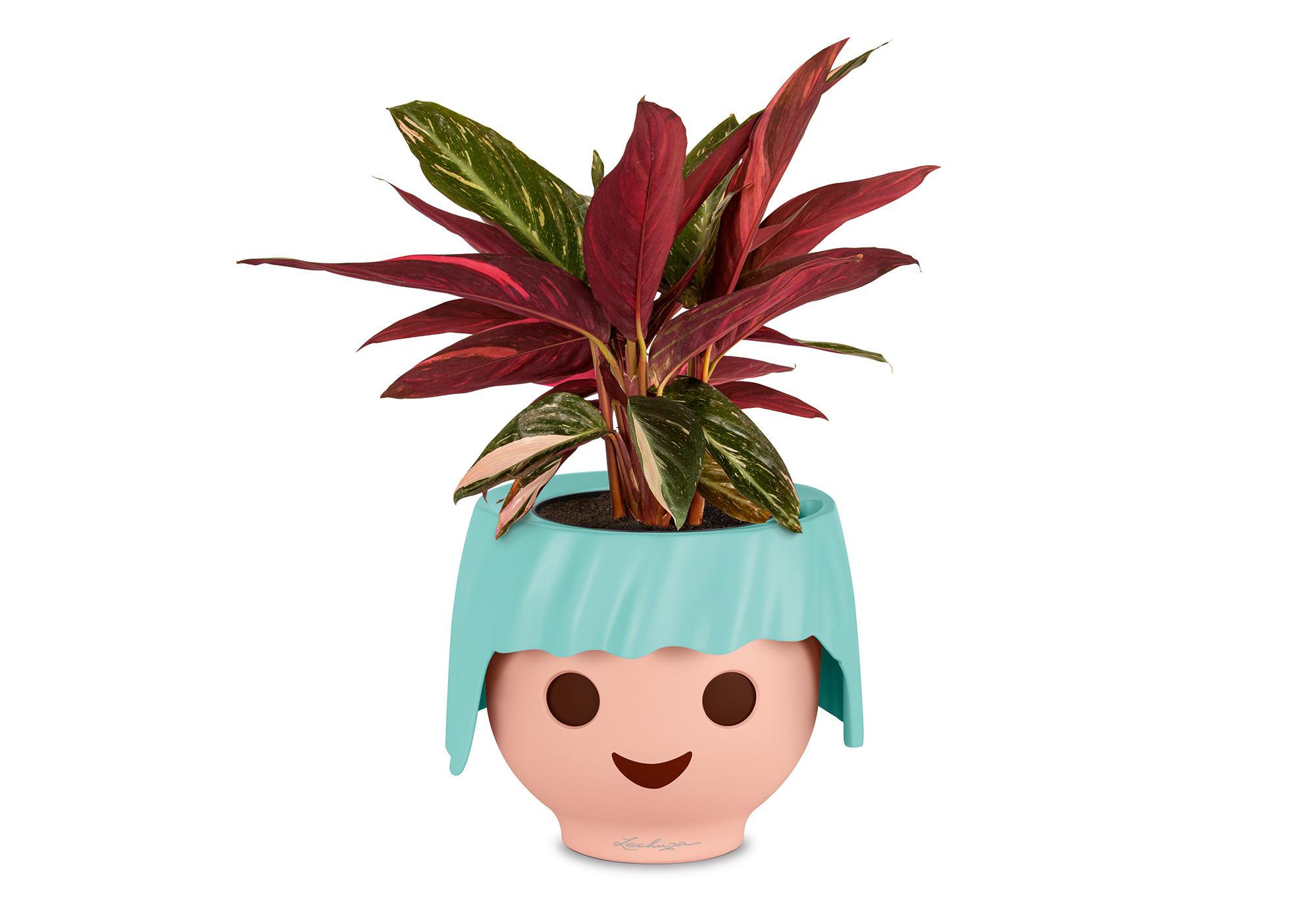 https://media.playmobil.com/i/playmobil/19043_product_extra1