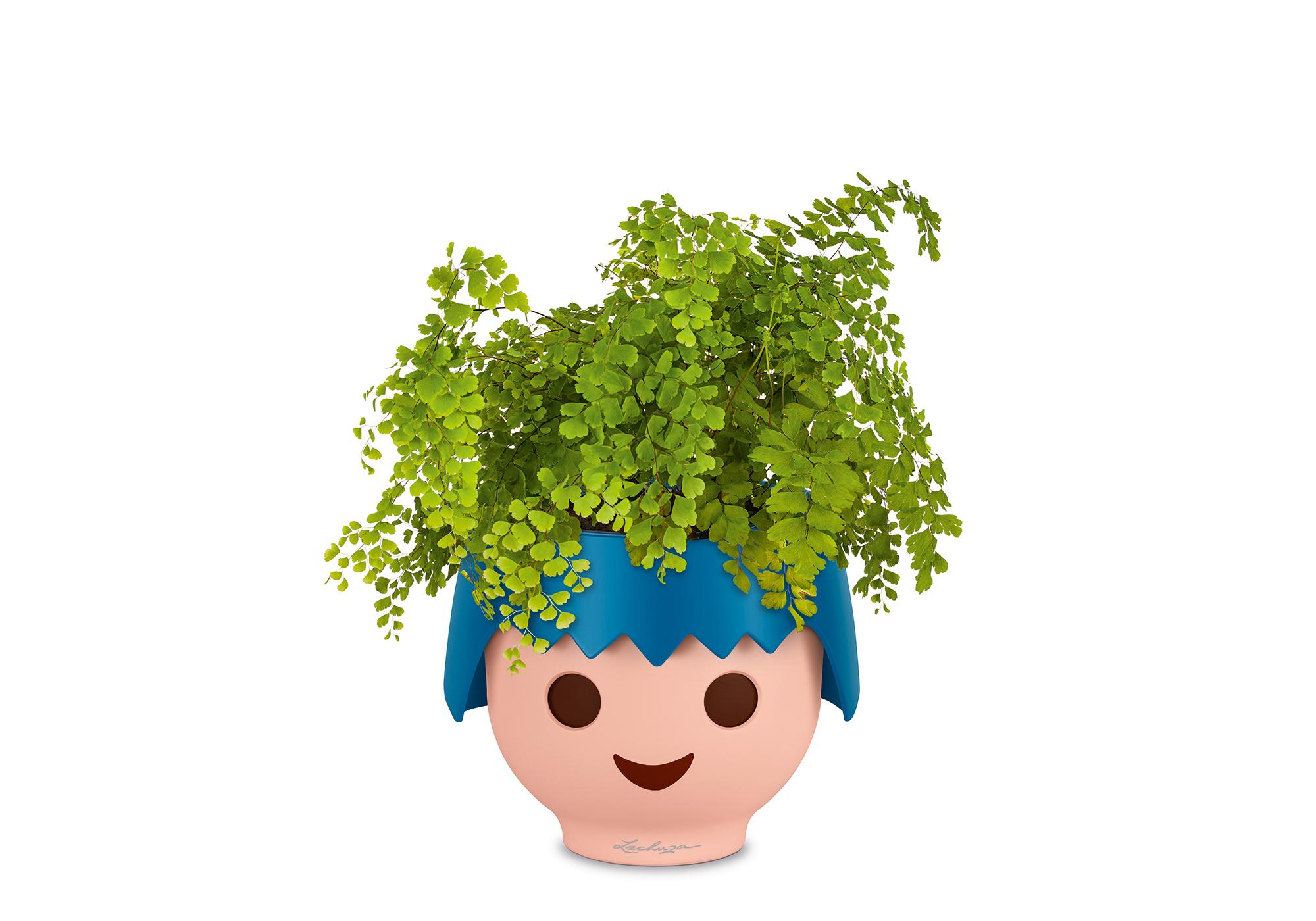 19044_product_extra1