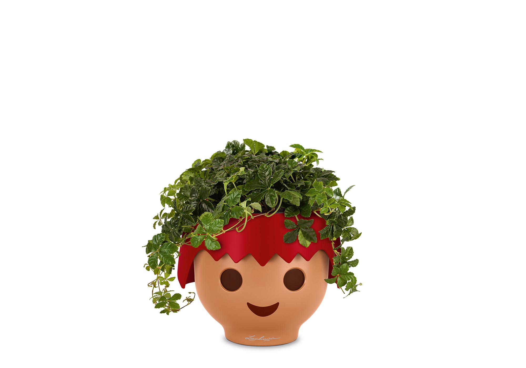 https://media.playmobil.com/i/playmobil/19046_product_extra1