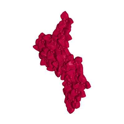 30024084_sparepart/Blüten-45-Bougainville