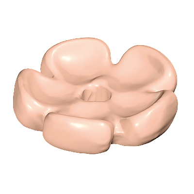 30058709_sparepart/FLOWER PETALS