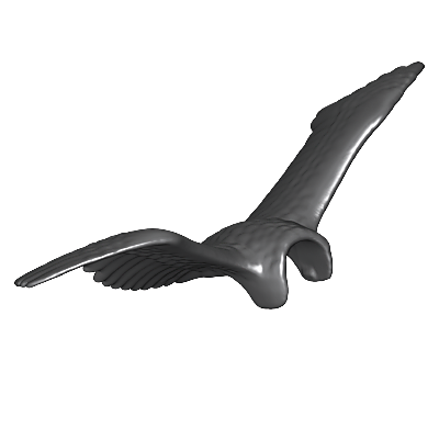 30079320_sparepart/Ailes de vautour ouvertes