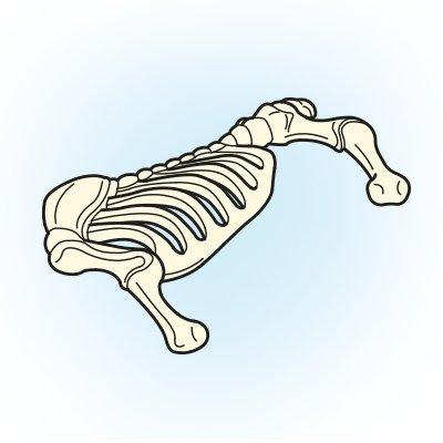 30079520_sparepart