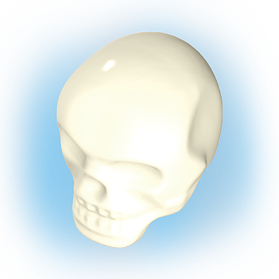 30092610_sparepart/Crâne