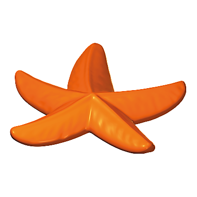 30095550_sparepart/Etoile de mer