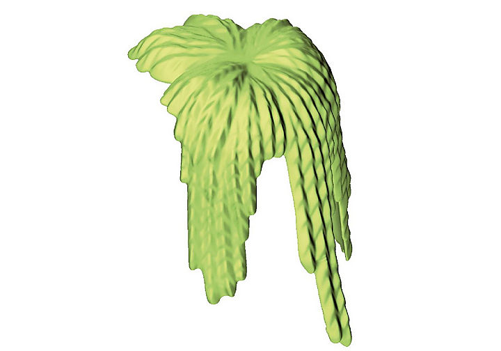 30206080_sparepart/Plante retombante 44 x 65 II