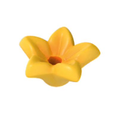 30219293_sparepart/Blüte-Stern