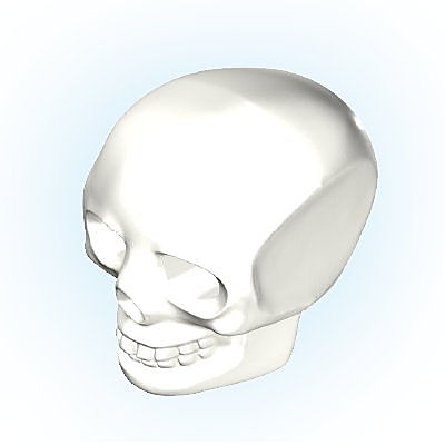 30227882_sparepart/Totenkopf 2009