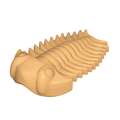 30243072_sparepart/Trilobit