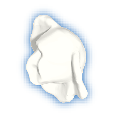 30250720_sparepart/ROSE PETAL HALF OPENED WHITE