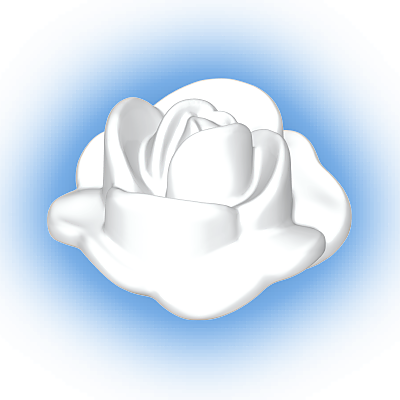 30250740_sparepart/Rose blanche ouverte
