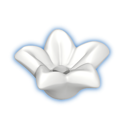 30252810_sparepart/fleur avec pétales blanches